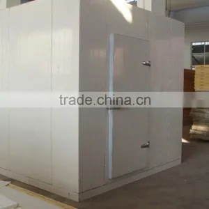 Walk in Cold Storage Room for Yogurt thumbnail-1