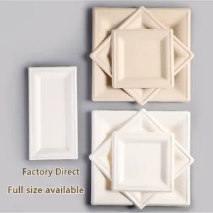 Heavy-Duty Molded Pulp Dinner Plate 8/10 Inch - Grease Resistant, Refrigerator Safe, Biodegradable, Custom OEM thumbnail-3