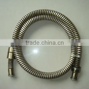 Stainless Steel Bathroom Shower Hose thumbnail-1