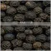 BLACK PEPPER thumbnail-1