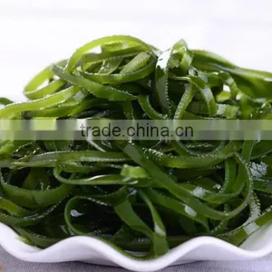 Bubble Type Kelp Washing Machine|Mushroom and Bean Sprout Cleaning Machine thumbnail-6