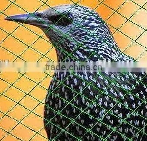 Plastic Bird Net thumbnail-1