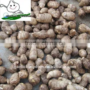 New Fresh Taro 50g and up thumbnail-1