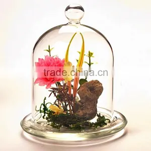 High Clean Glass Decor Dome Cover for Home/office thumbnail-4