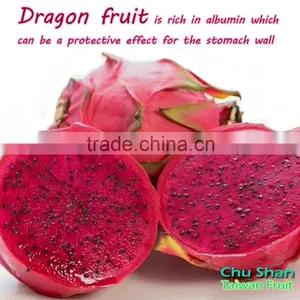 Fresh Dragon Fruit Exporter From Taiwan thumbnail-6