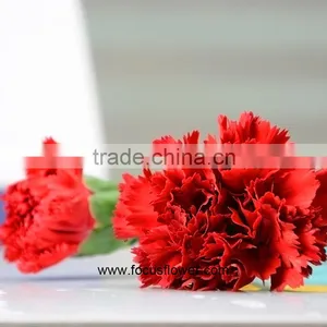 Decoration Weddings High Quality Carnation With Good Packaging Superbly Natural Carnation Flowers thumbnail-2