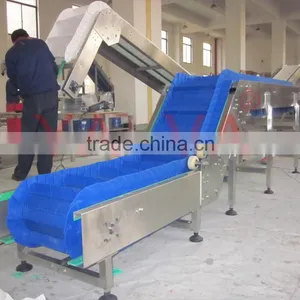 PP Lifting Belt Conveyor System by Customized thumbnail-1