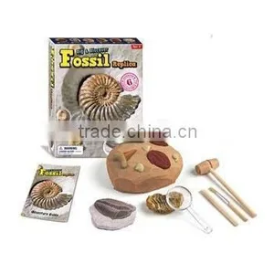 Deluxe Real Fossil Excavation And Collection Kit thumbnail-1
