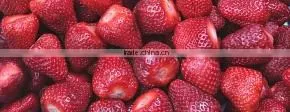 Strawberry for Sale thumbnail-1