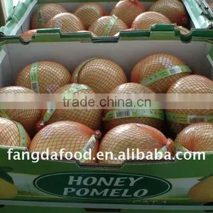 Pomelo/Fresh Pomelo thumbnail-1