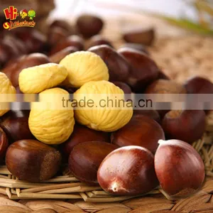 Natural Sweet Easy to Peel Hebei Fresh Chestnuts thumbnail-1