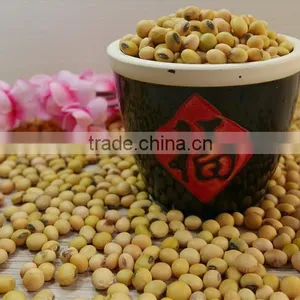 Organic Soybean With Nutritional Value Yellow Soy Beans thumbnail-6