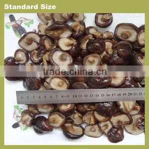 Shiitake Mushrooms Price thumbnail-2