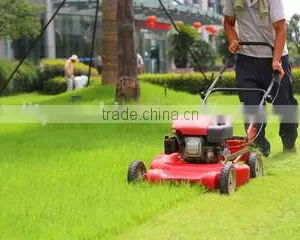 Lawn Mower thumbnail-4