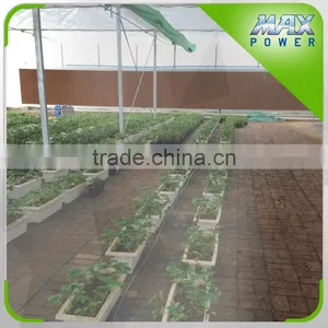 Hydroponics Strawberry Film Greenhouse thumbnail-3