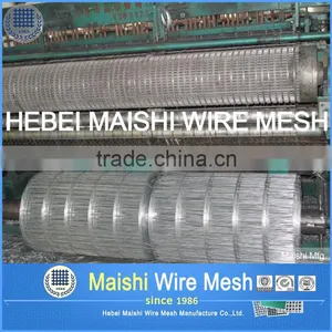 Small Hole Welded Mesh Cage for Birds thumbnail-5