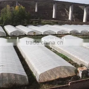 Modern Agriculture Greenhouse Hot Sale thumbnail-1