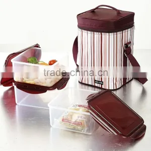 Waterproof Travel Picnic 10.1L Lunch Bag Snack Tote Isothermic Cooler Handbag With Lunch Box thumbnail-1