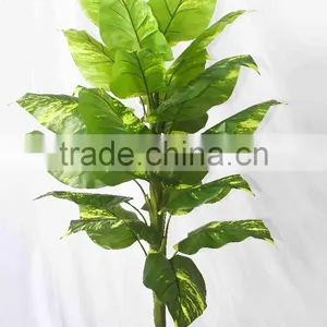 Supply Artificial Scindapsus Bonsai thumbnail-1
