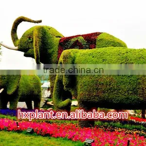 Simulation Topiary Animal Sculptures for Theme Park Decoration thumbnail-1