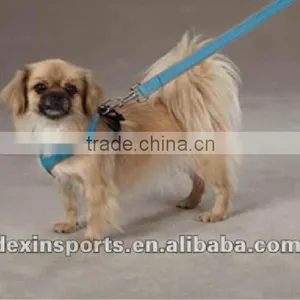 Factory Supplied Hight Quality and Durable Adjustable Neoprene Pet Dog Collar thumbnail-1