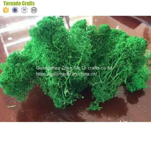 High Quality 500G Per Box Artificial Decorative Moss Preserved Moss for Moss Wall Decoration thumbnail-2