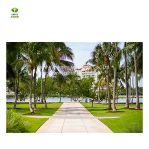 Wanhe Grass 90E Artificial Grass Installation Synthetic Turf for Sale thumbnail-4