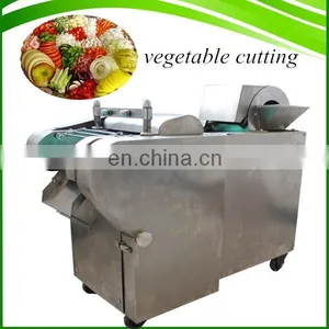 Popular Commercial Vegetable and Fruit Shredder / Vegetable Cutting Machine / Onion Slicer Machine for Sale thumbnail-7