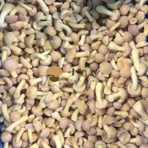 IQF Frozen Nameko Mushroom Pholiota Nameko thumbnail-1
