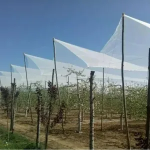 Orchard Anti Hail Netting thumbnail-4