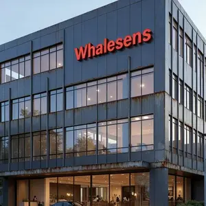 Whalesens Technology Co., Ltd. company overview - view 1 thumbnail
