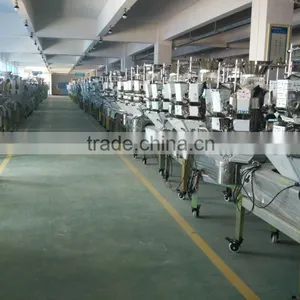 2 Head Modular Linear Weigher for Milk Powder,Rice,Salt,Sugar Packaging Machine thumbnail-6