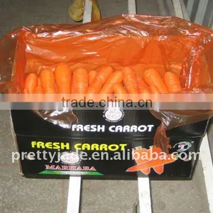 2013 Fresh Carrot thumbnail-1