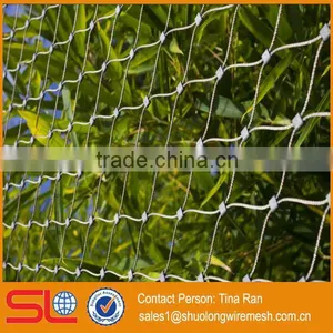 ISO Manufactory Provide Fast Delivery Time Stainless Steel Mesh Aviary Mesh thumbnail-4