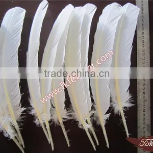 Wholesale Feather Products Natural Turkey Feather For Party Mask And Wedding Decorations thumbnail-1