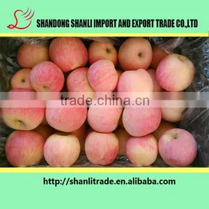 Buy Paper Bagged/fresh Yiyuan Fuji Apple/chinese Apple Price thumbnail-5