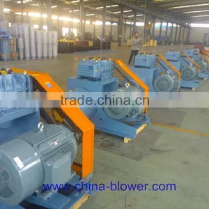 Roots Blower M8021 thumbnail-1