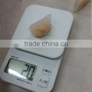 JG-50C Shrimp Dumpling Machine/ Har Gow/dumpling Maker Machine and Equipment thumbnail-5