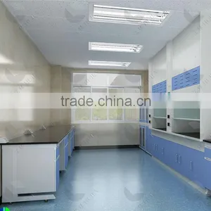 2016 New Dsign Factory Price Laboratory Steel Fume Hood thumbnail-4