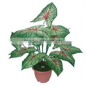 Artificial Bonsai,Bonsai,Artificial Plant Bonsai thumbnail-1