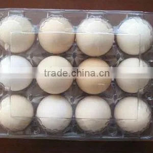 Cup Cake Containers Thermoforming Machine thumbnail-3