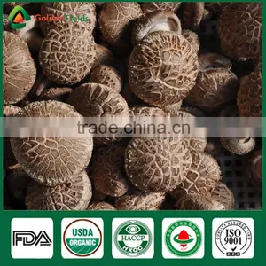 Mushroom Seller Fresh Dried Shiitake Mushroom Growing Log Shiitake Mushroom Spawn for Mushroom Farm thumbnail-1