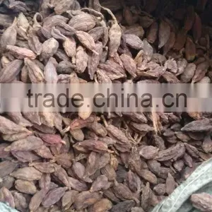 Spices and Herbs, New Crop Black Cardamom With Best Price thumbnail-2