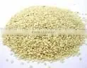 Sesame Seed Hulled thumbnail-1