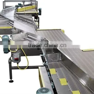 Flat Top Chain Conveyor thumbnail-1