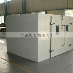 8year OEM Manufacturer Walk in Ice Cream Storage Cold Room thumbnail-1