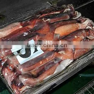 Frozen Argentina Illex Squid Supplier of Seafood thumbnail-1