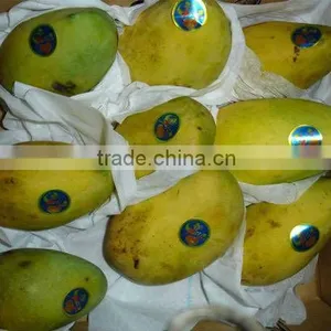 Fresh Egyptainmango thumbnail-1