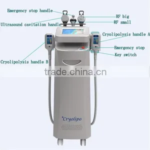 Weight Loss Five Heads Fat Reduce Cryolipolysis Machine With CE Approved / Slimming Machine /lose Weight Machine (CE Approved) Body Slimming thumbnail-3