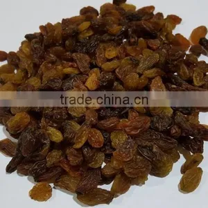 Raisin thumbnail-2